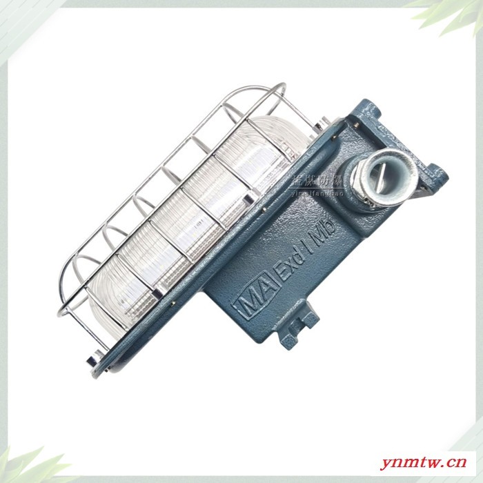 益煤防爆电器DGC18/127L(A)矿用隔爆型LED支架灯 矿用液压支架移动照明灯图2