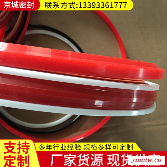 【益洋牌】车削液压支架密封件 车削液压支架密封圈图2