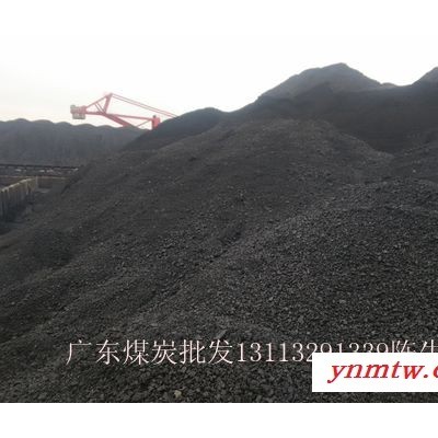 广东广州新沙港一手货源**5000大卡优质烟煤动力煤