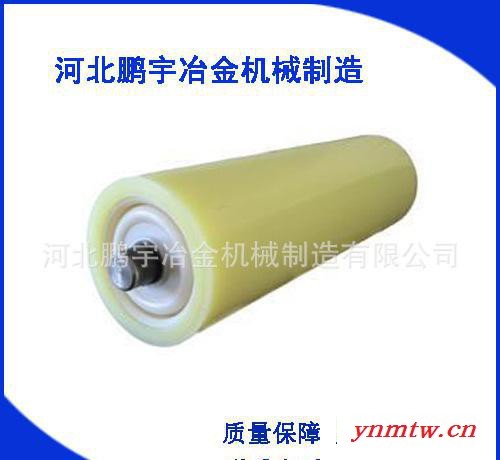 输送设备制造专业定做规格带式输送机用高分子托辊图2