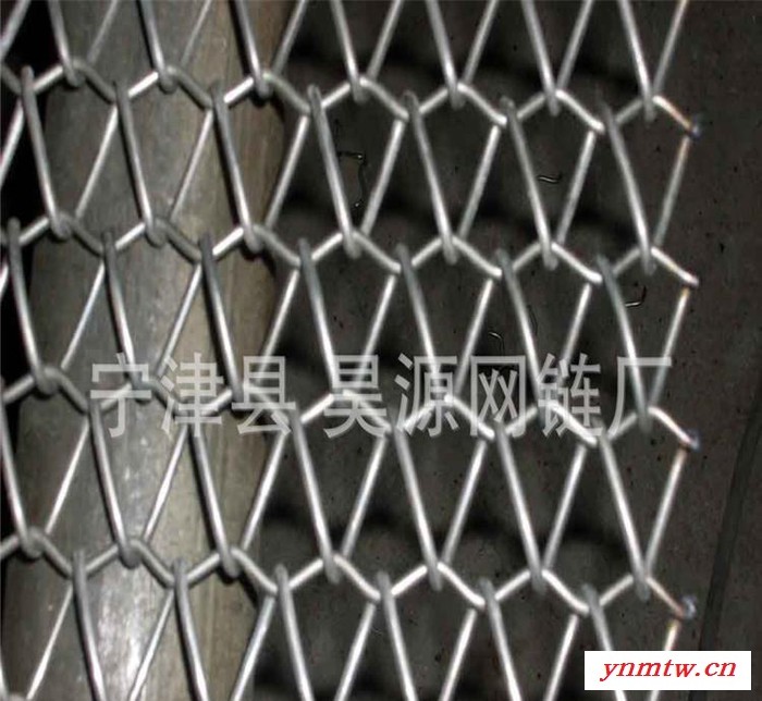 链条式网带  输送机网带   昊源生产【不锈钢网带】 网链图2