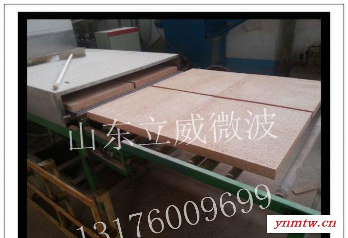 立威木方微波烘干机 微波干燥机 微波杀菌设备图3
