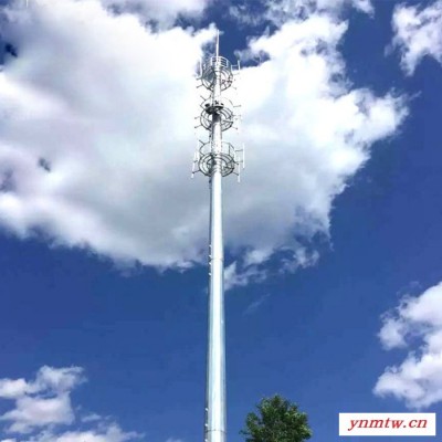 厂家供应  无线通讯塔仿生通讯塔角钢通讯塔