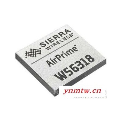 供应Sierra wavecomGPRS模块WS6318无线通讯模块