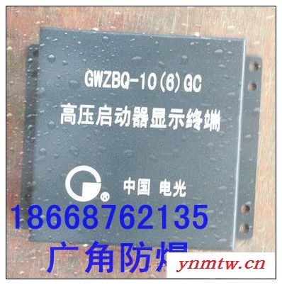供应电光GWZBQ-10(6)GC高压启动器保护装置