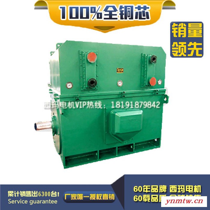 YKK4005-6 280KW 6KV IP54 破碎机专用西玛绕线型高压电机 西玛YKK 6KV高压电机图2