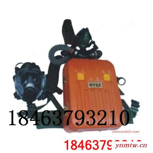 传感器 HYZ-2隔绝式正压氧气呼吸器 价格供应商，厂家，山东。图3